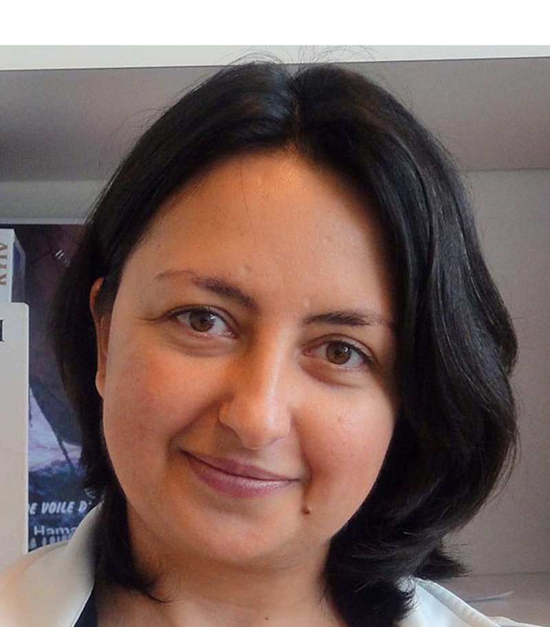 Fisun Hamaratoglu Dion  PhD