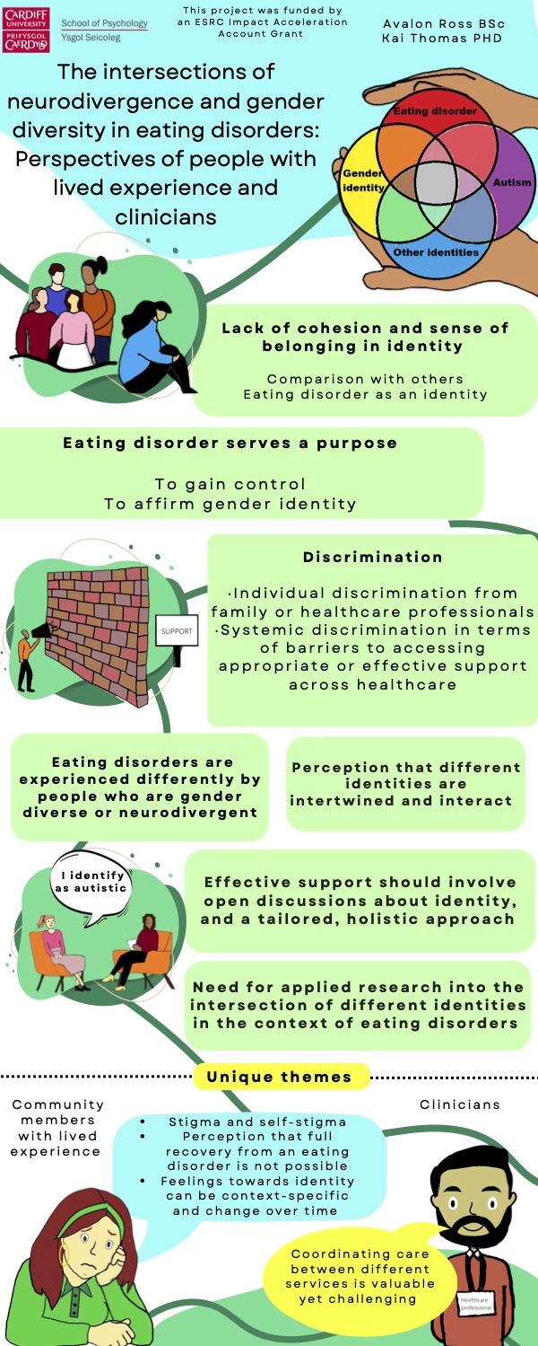 Figure 1. Infographic displaying consultation findings.