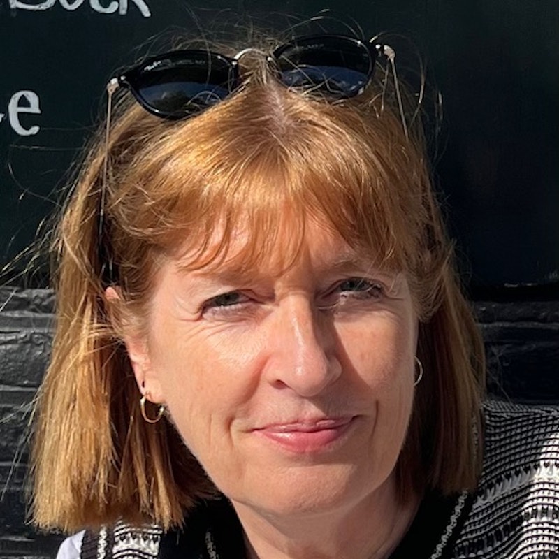 Stephanie Van Goozen  MSc and PhD, University of Amsterdam, NL