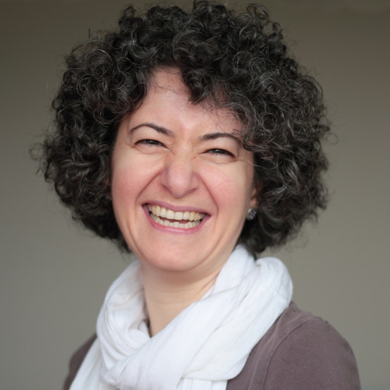 Parisa Eslambolchilar