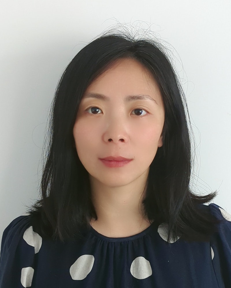 Xuan Wang  PhD, MA, PGCE, BA, SFHEA