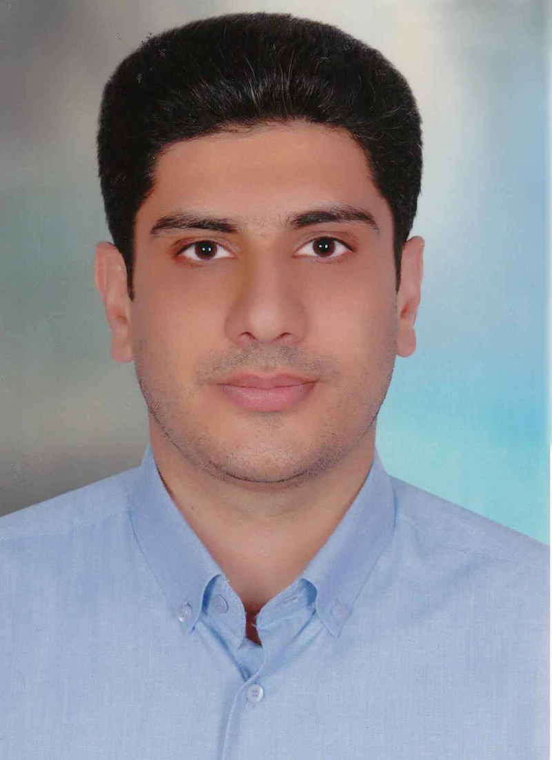 Picture of Hamed Zeinoddini Meymand