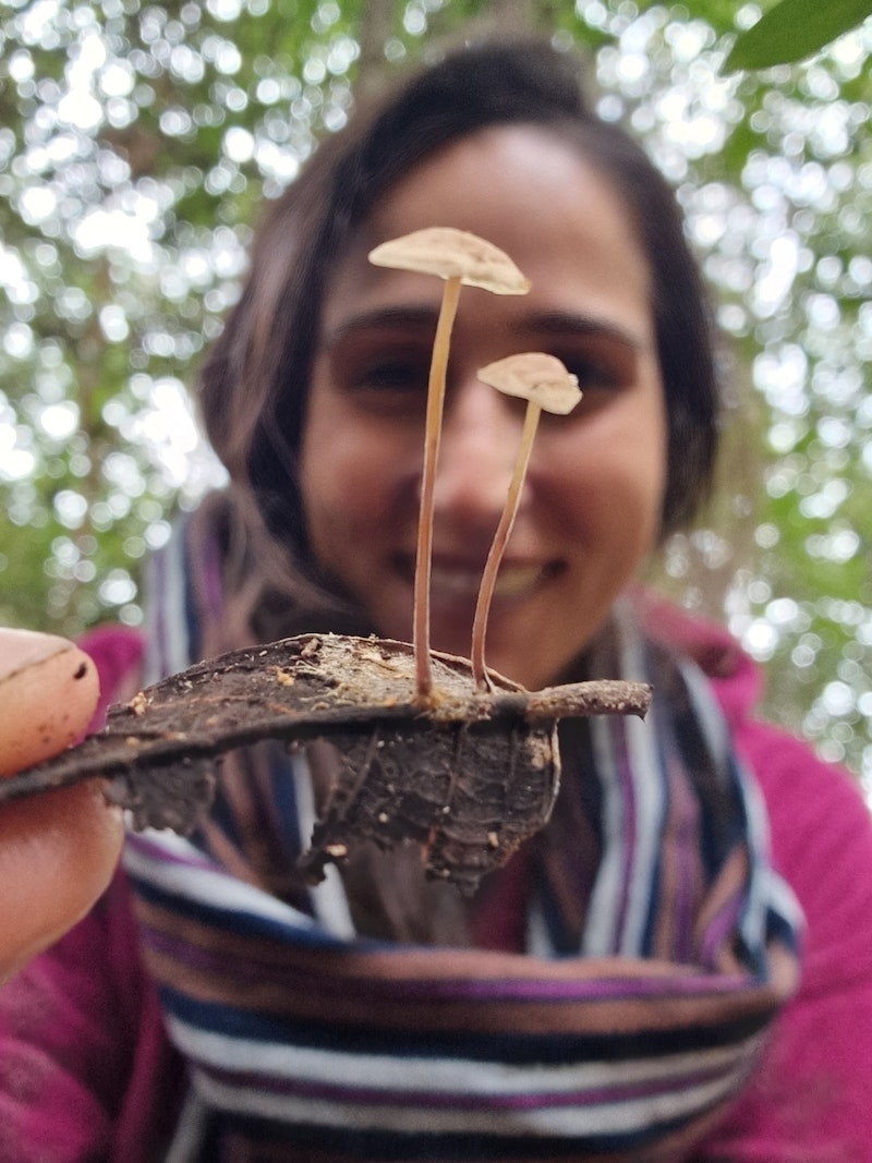 Mariana Or Mari Pelin Villani